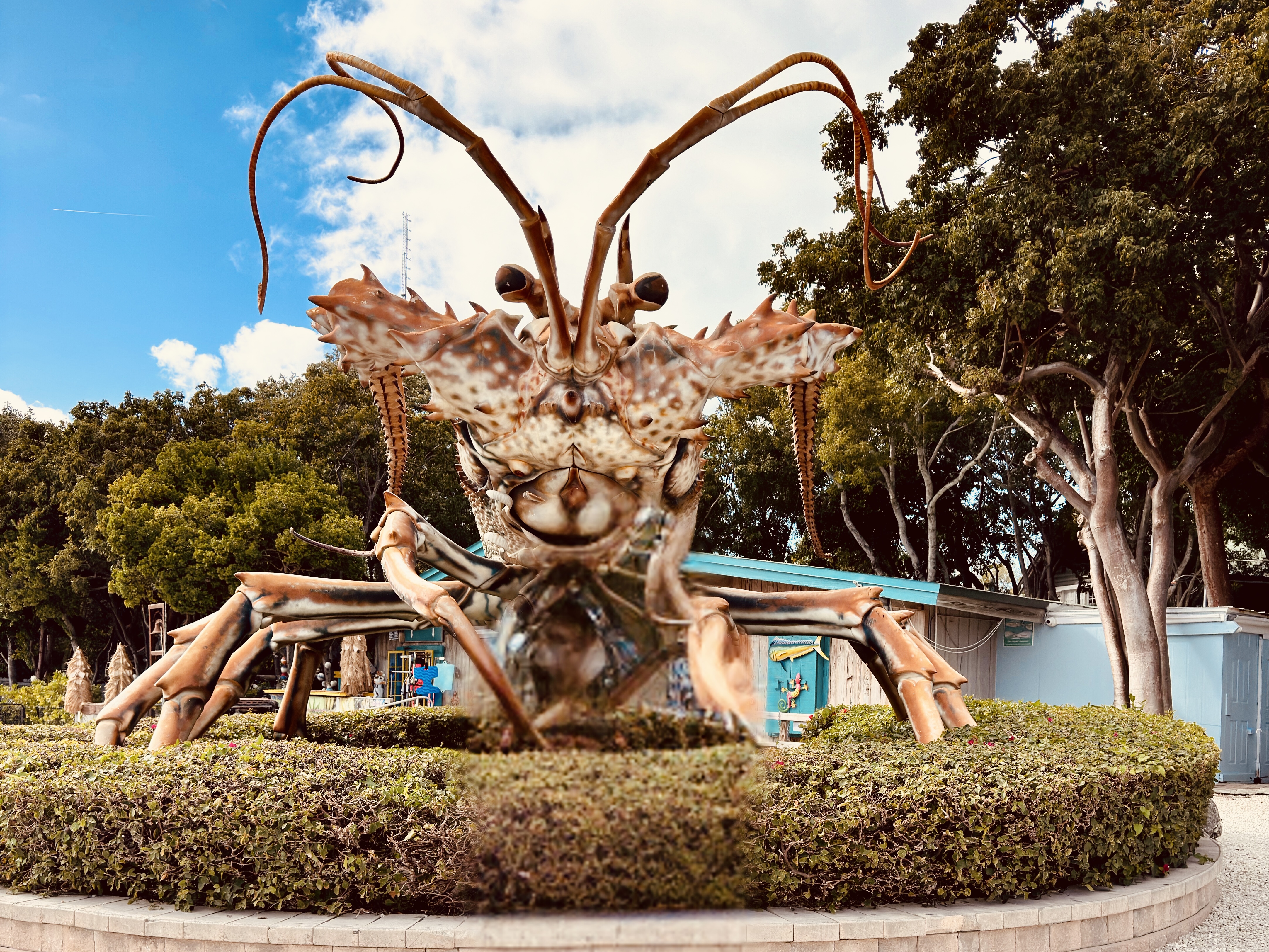 Florida Keys Road Trip - Rain Barrel Village- Betsy Lobster