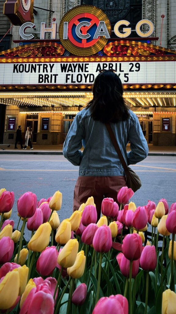 Things to Do in Chicago - Visit Chicago Theater