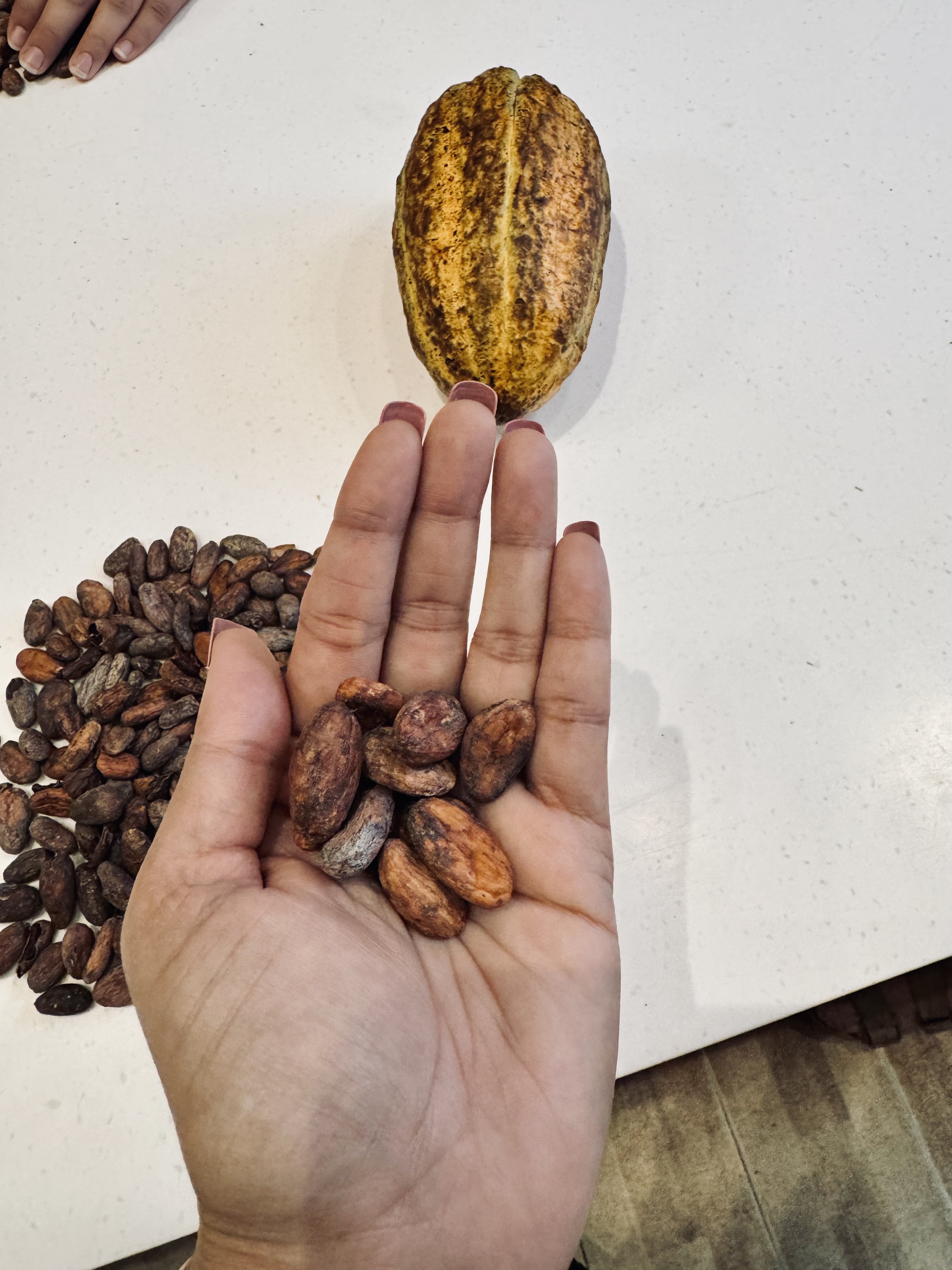 Cacao beans