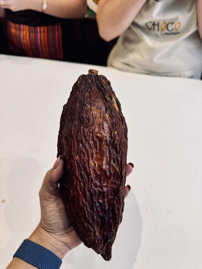 Cacao fruit