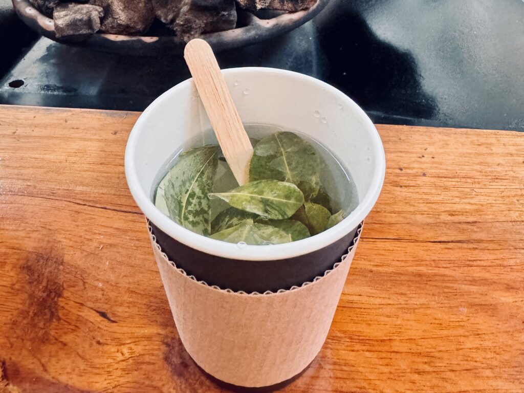 Coca Tea