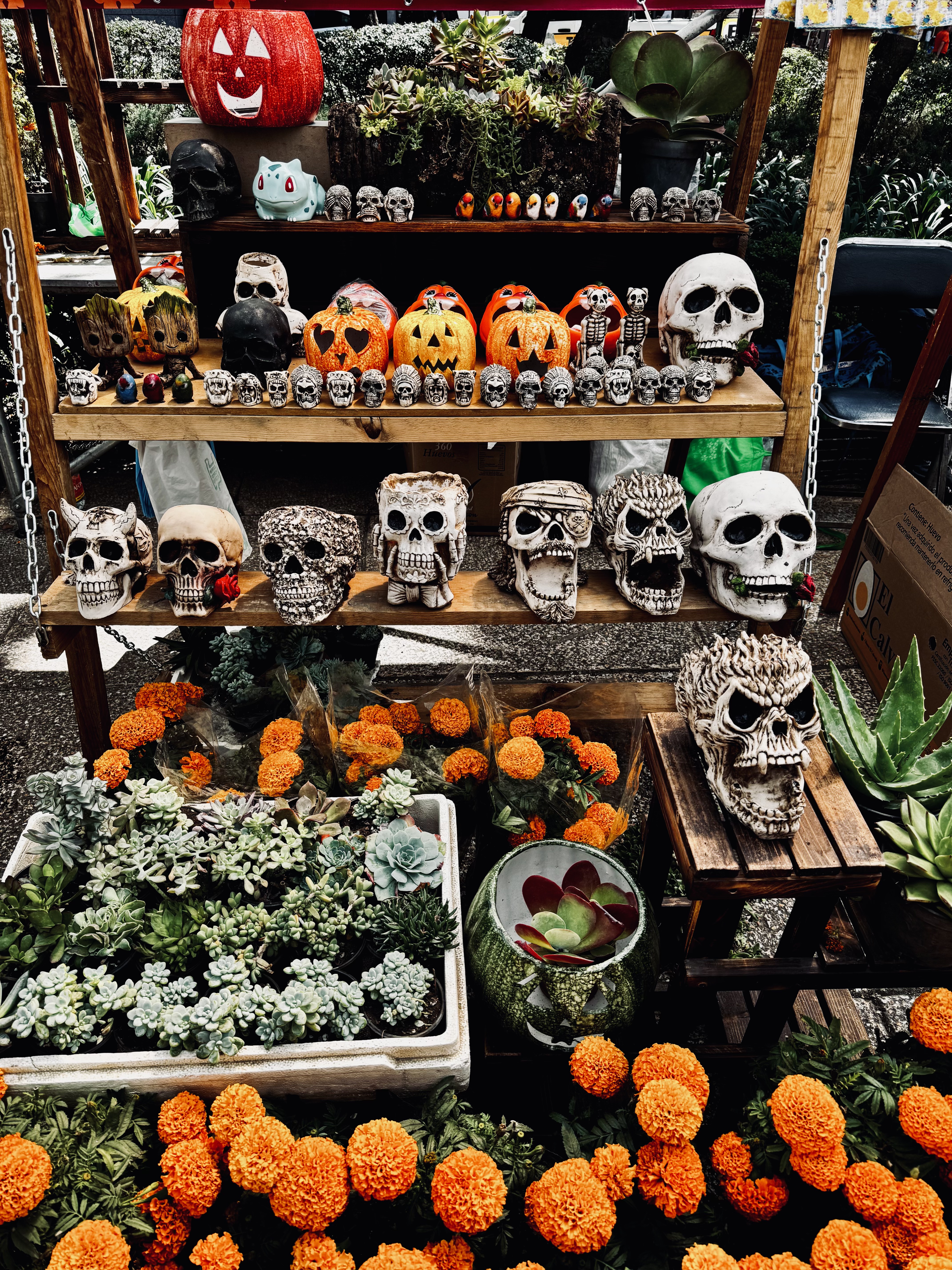 Mexico City Travel Guide - Day of the Dead celebration