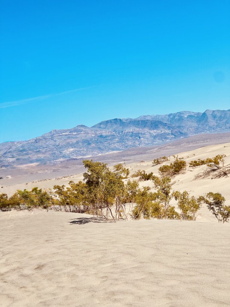 Death Valley National Park - Mesquite Flat Sand Dunes