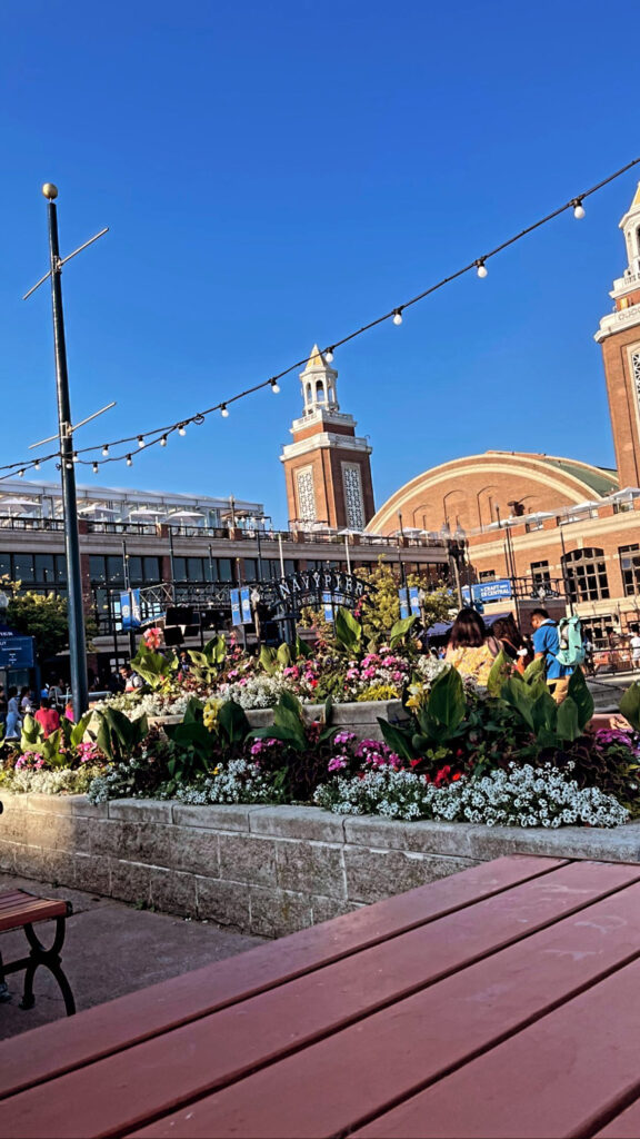 Things to Do in Chicago - Visit Navy Pier